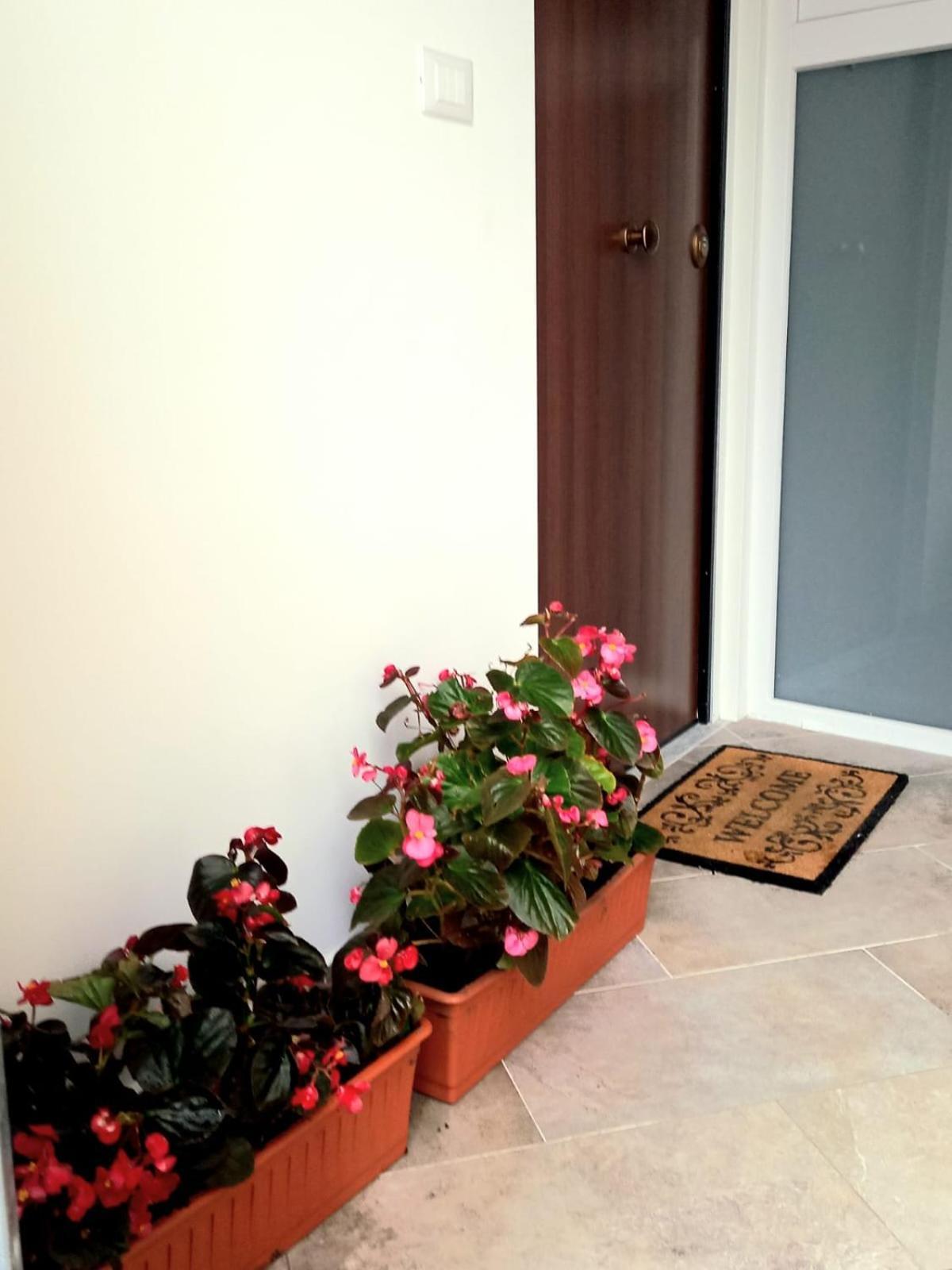 Casa Delle Begonie Apartment Rome Luaran gambar